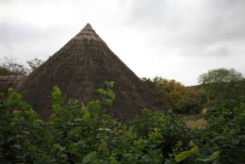 A straw roof in a field
Description automatically generated with medium confidence
